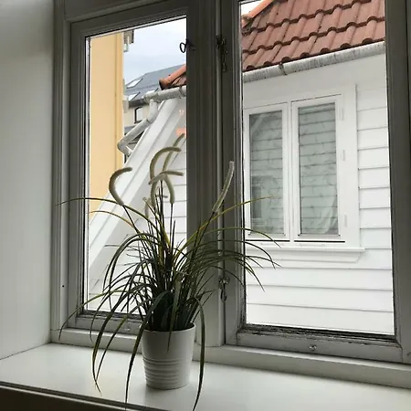 Apartment The White House